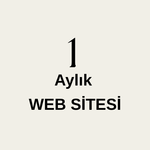 1 Aylık Web Sitesi Tasarımı – Hızlı ve Etkili Dijital Çözümler